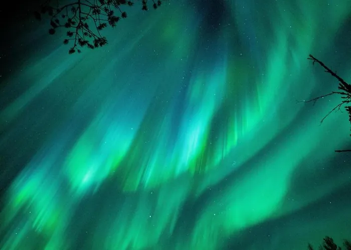 Stylish Rowhouse, Guiet Area Free Wi-fi & Parking Διαμέρισμα *